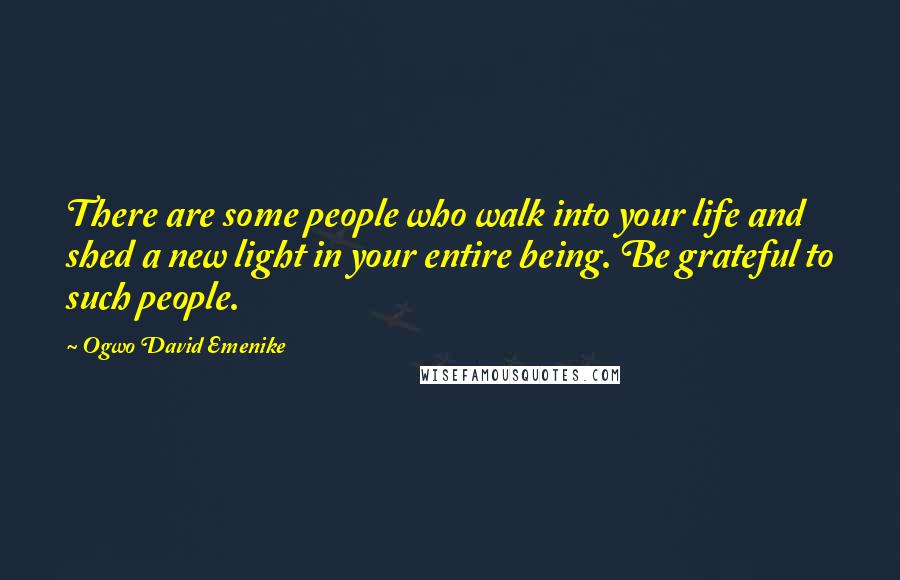 Ogwo David Emenike Quotes: There are some people who walk into your life and shed a new light in your entire being. Be grateful to such people.