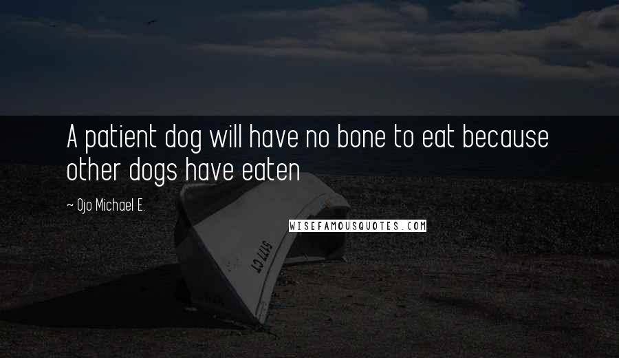 Ojo Michael E. Quotes: A patient dog will have no bone to eat because other dogs have eaten