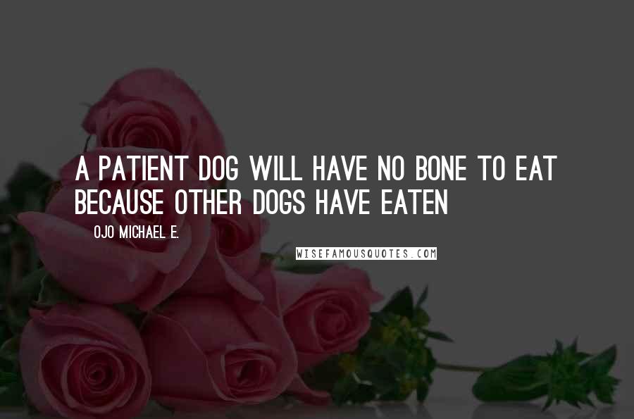 Ojo Michael E. Quotes: A patient dog will have no bone to eat because other dogs have eaten
