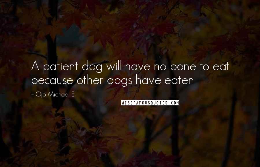 Ojo Michael E. Quotes: A patient dog will have no bone to eat because other dogs have eaten