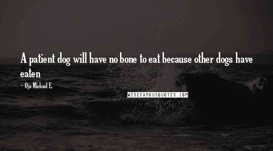 Ojo Michael E. Quotes: A patient dog will have no bone to eat because other dogs have eaten