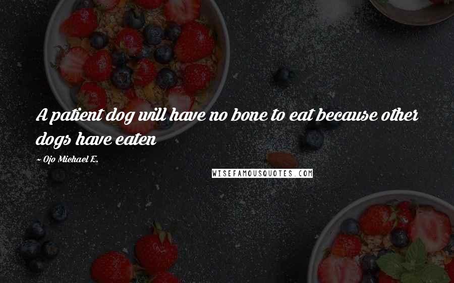 Ojo Michael E. Quotes: A patient dog will have no bone to eat because other dogs have eaten
