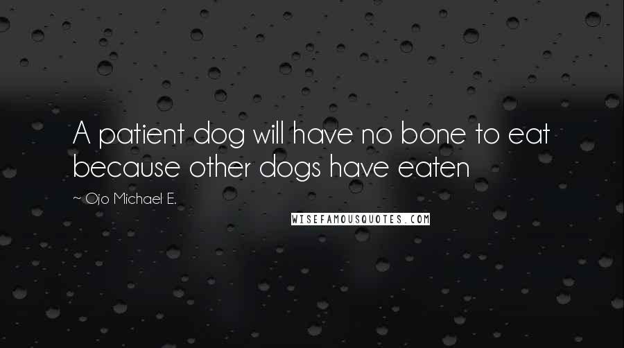 Ojo Michael E. Quotes: A patient dog will have no bone to eat because other dogs have eaten