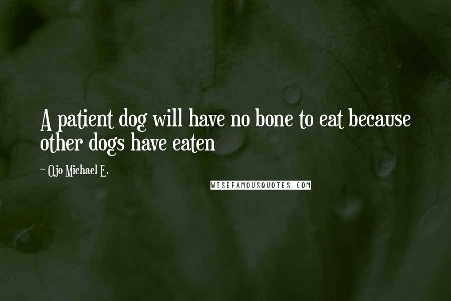Ojo Michael E. Quotes: A patient dog will have no bone to eat because other dogs have eaten