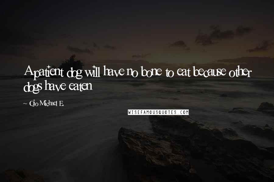 Ojo Michael E. Quotes: A patient dog will have no bone to eat because other dogs have eaten