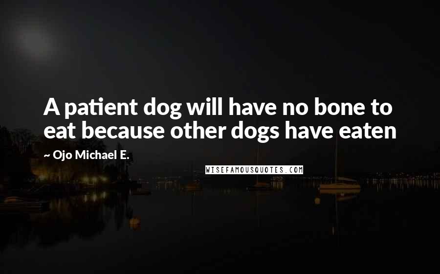 Ojo Michael E. Quotes: A patient dog will have no bone to eat because other dogs have eaten