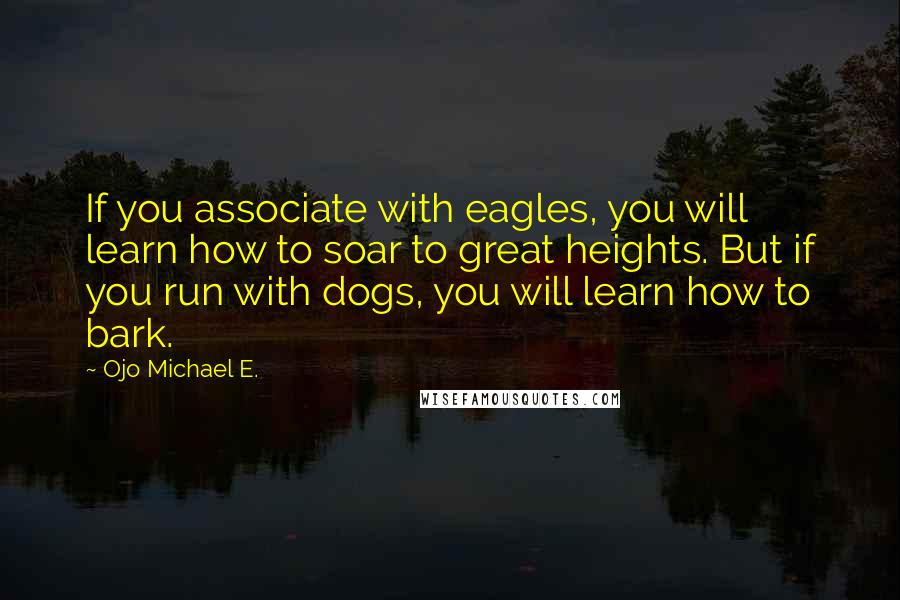 Ojo Michael E. Quotes: If you associate with eagles, you will learn how to soar to great heights. But if you run with dogs, you will learn how to bark.