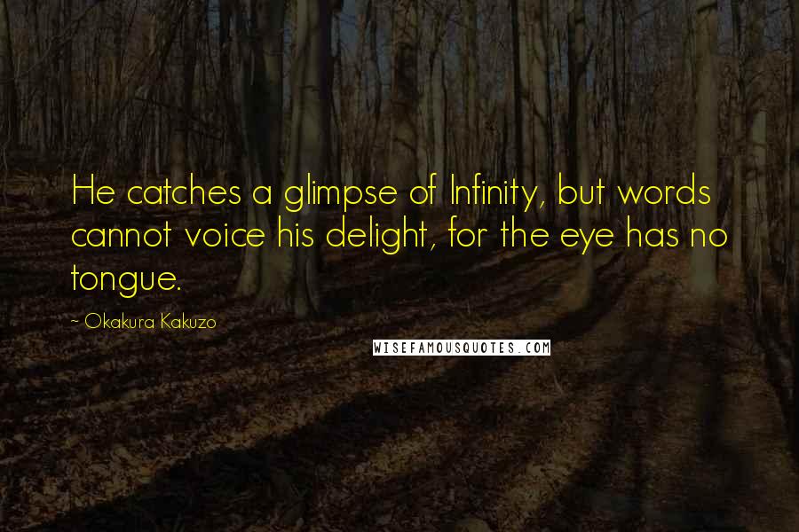 Okakura Kakuzo Quotes: He catches a glimpse of Infinity, but words cannot voice his delight, for the eye has no tongue.