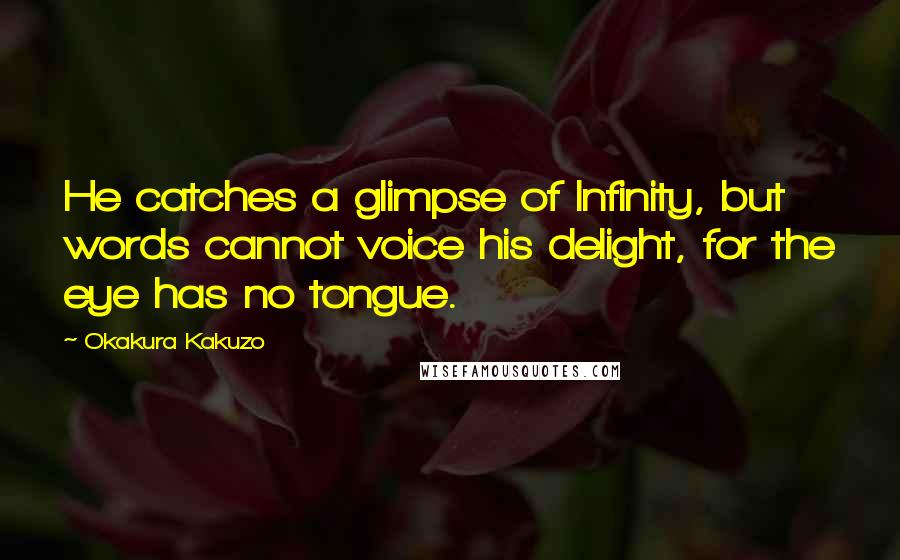 Okakura Kakuzo Quotes: He catches a glimpse of Infinity, but words cannot voice his delight, for the eye has no tongue.