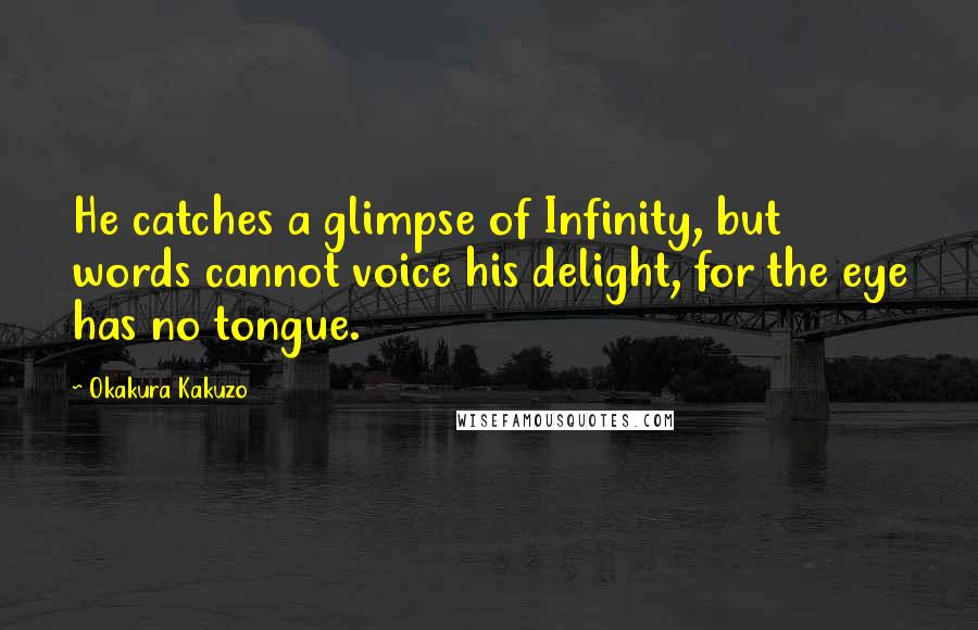 Okakura Kakuzo Quotes: He catches a glimpse of Infinity, but words cannot voice his delight, for the eye has no tongue.