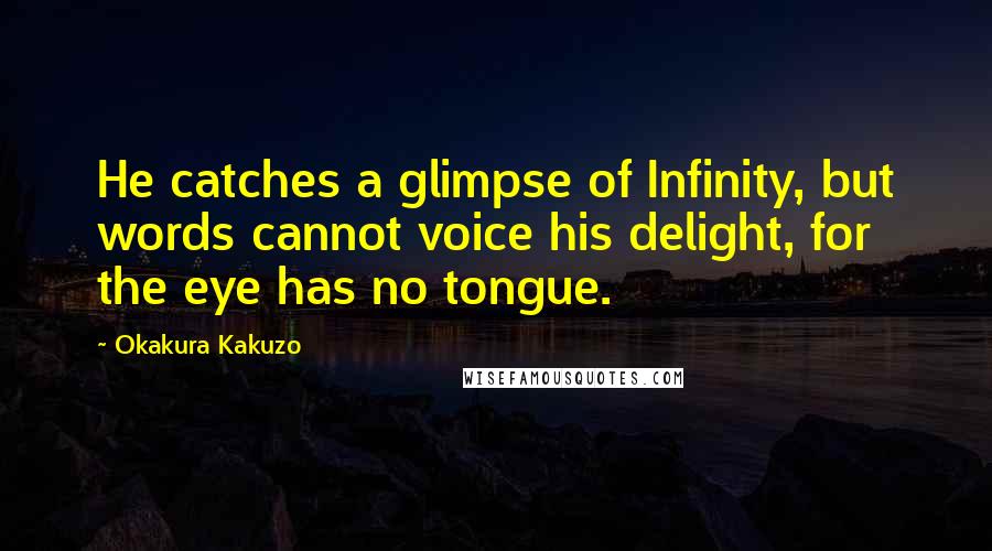 Okakura Kakuzo Quotes: He catches a glimpse of Infinity, but words cannot voice his delight, for the eye has no tongue.