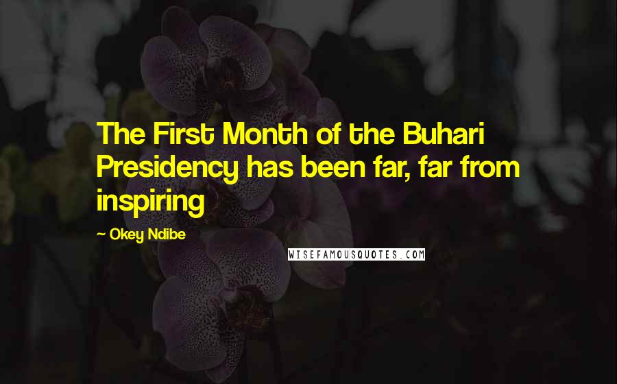 Okey Ndibe Quotes: The First Month of the Buhari Presidency has been far, far from inspiring