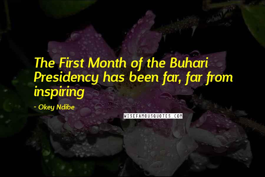 Okey Ndibe Quotes: The First Month of the Buhari Presidency has been far, far from inspiring