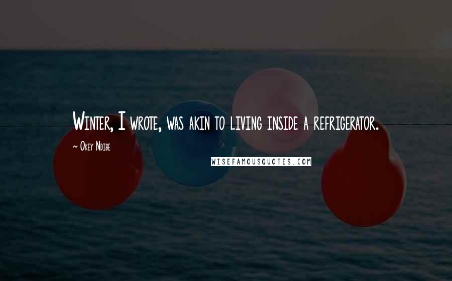 Okey Ndibe Quotes: Winter, I wrote, was akin to living inside a refrigerator.