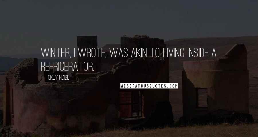 Okey Ndibe Quotes: Winter, I wrote, was akin to living inside a refrigerator.