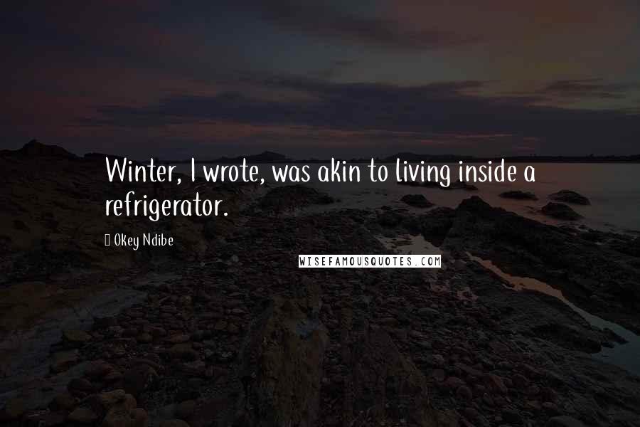 Okey Ndibe Quotes: Winter, I wrote, was akin to living inside a refrigerator.