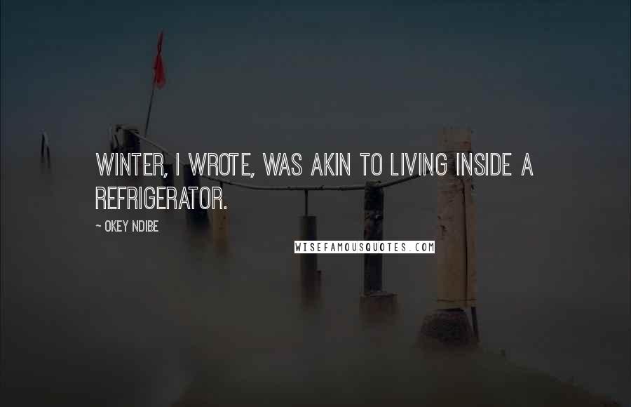 Okey Ndibe Quotes: Winter, I wrote, was akin to living inside a refrigerator.