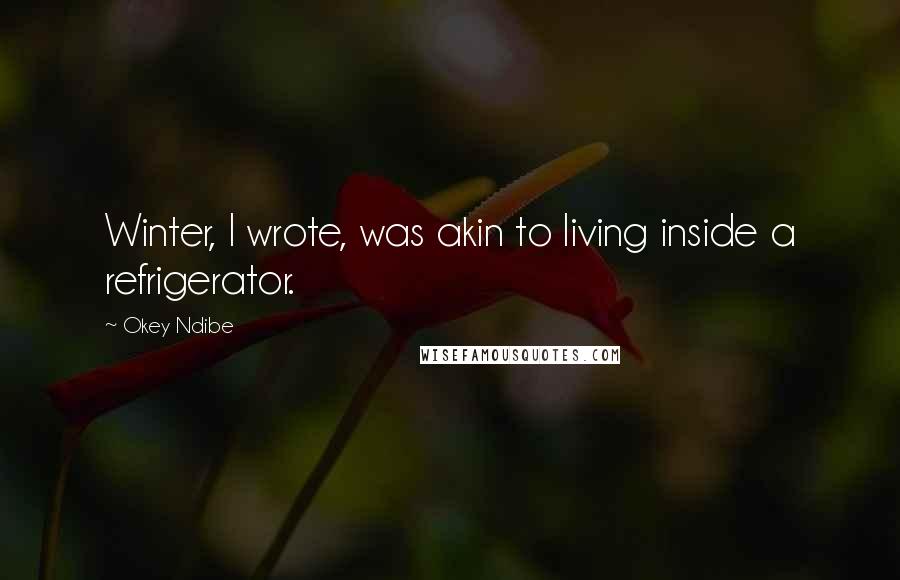 Okey Ndibe Quotes: Winter, I wrote, was akin to living inside a refrigerator.