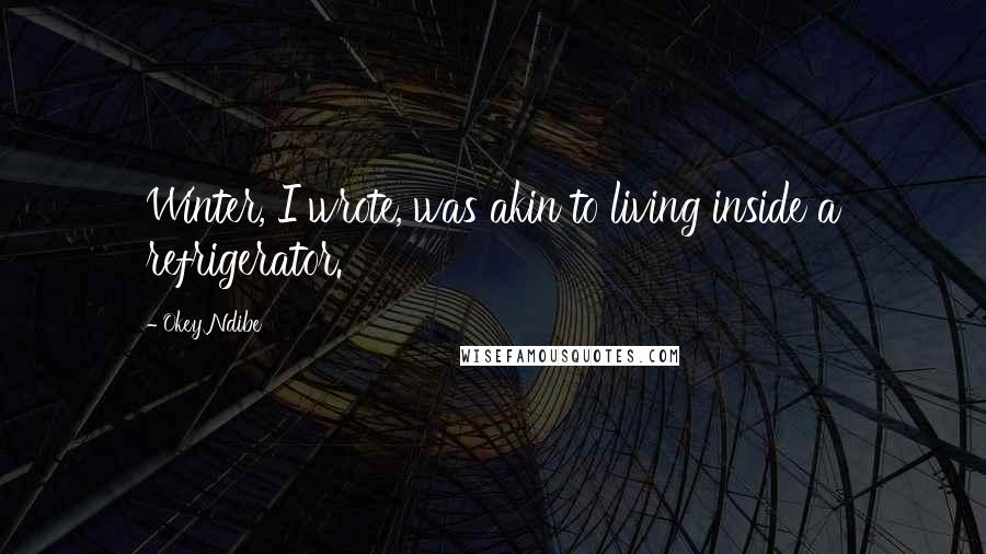 Okey Ndibe Quotes: Winter, I wrote, was akin to living inside a refrigerator.