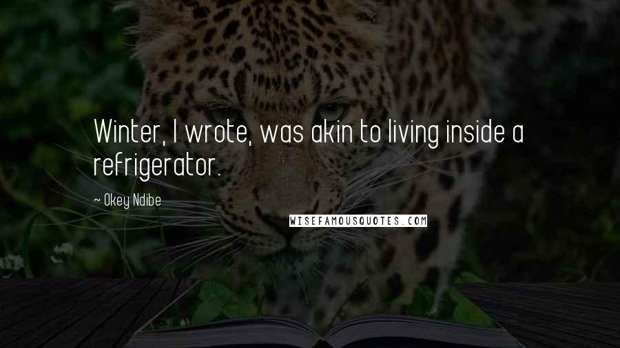 Okey Ndibe Quotes: Winter, I wrote, was akin to living inside a refrigerator.