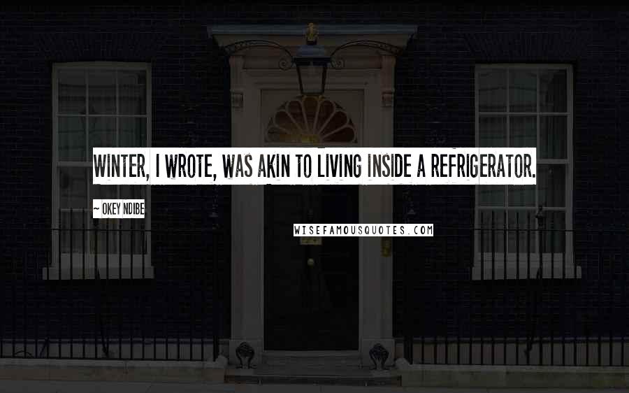 Okey Ndibe Quotes: Winter, I wrote, was akin to living inside a refrigerator.