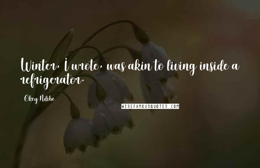 Okey Ndibe Quotes: Winter, I wrote, was akin to living inside a refrigerator.