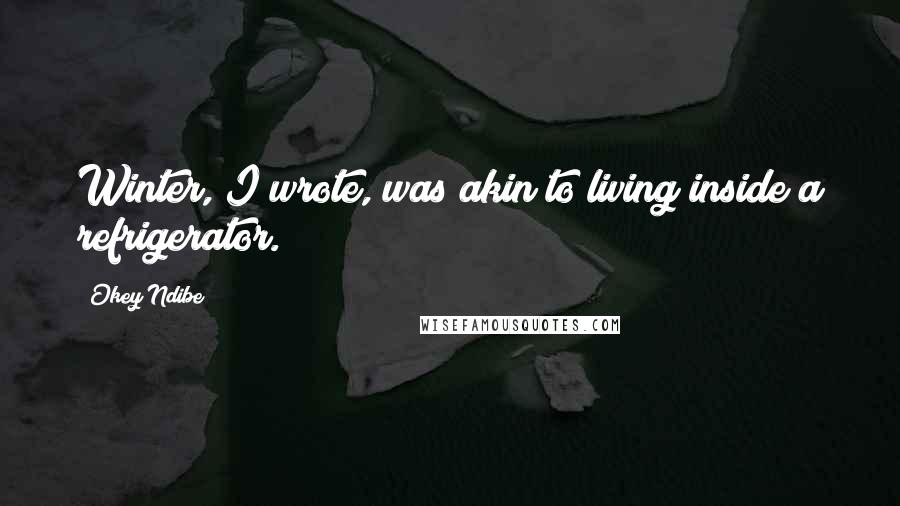 Okey Ndibe Quotes: Winter, I wrote, was akin to living inside a refrigerator.