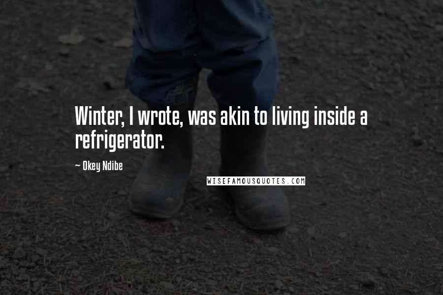 Okey Ndibe Quotes: Winter, I wrote, was akin to living inside a refrigerator.