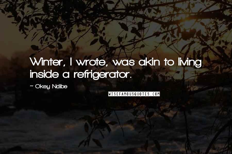 Okey Ndibe Quotes: Winter, I wrote, was akin to living inside a refrigerator.