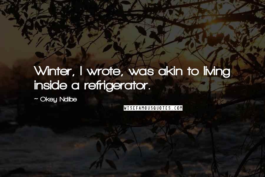 Okey Ndibe Quotes: Winter, I wrote, was akin to living inside a refrigerator.