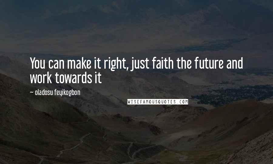 Oladosu Feyikogbon Quotes: You can make it right, just faith the future and work towards it