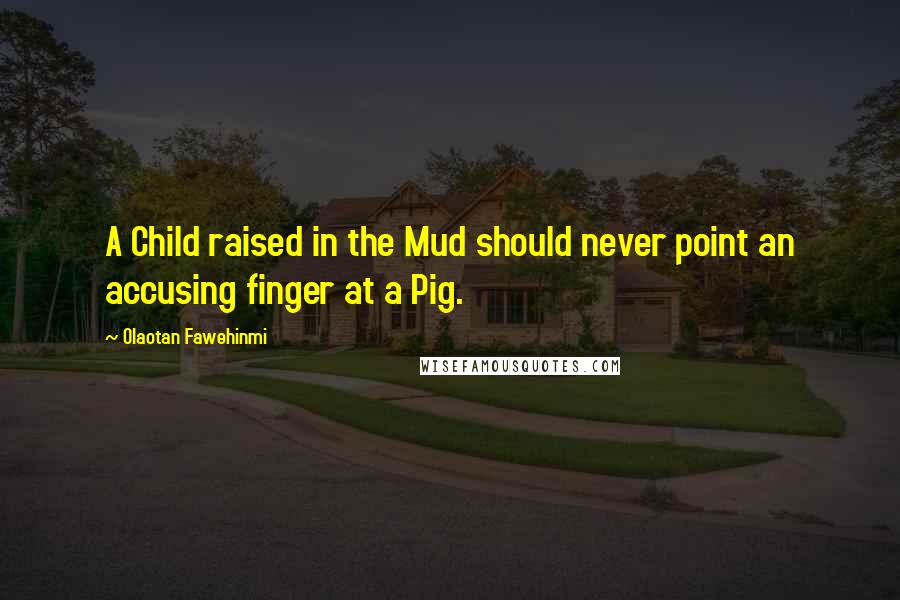 Olaotan Fawehinmi Quotes: A Child raised in the Mud should never point an accusing finger at a Pig.