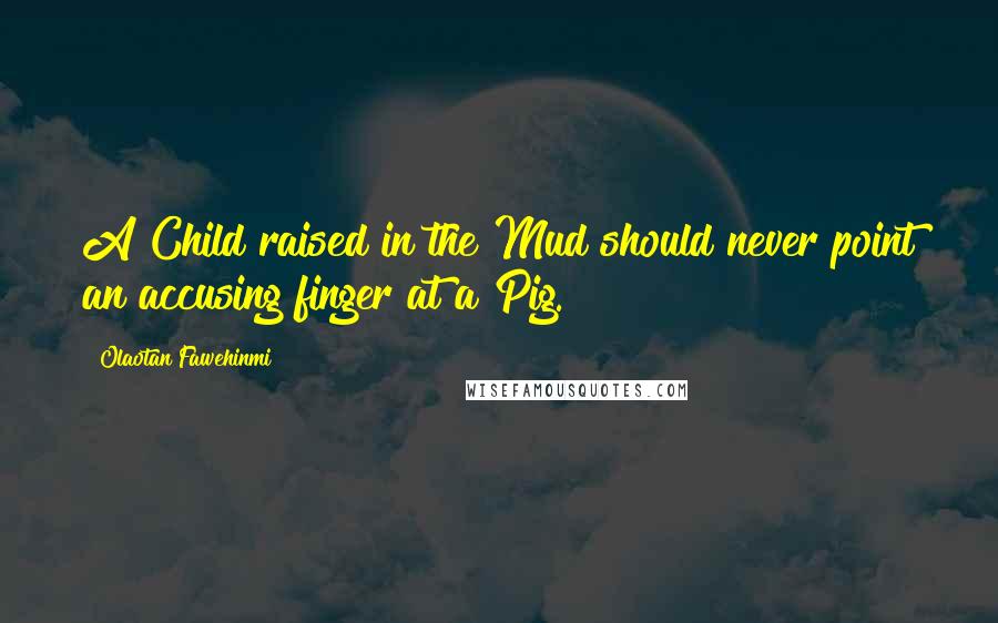 Olaotan Fawehinmi Quotes: A Child raised in the Mud should never point an accusing finger at a Pig.