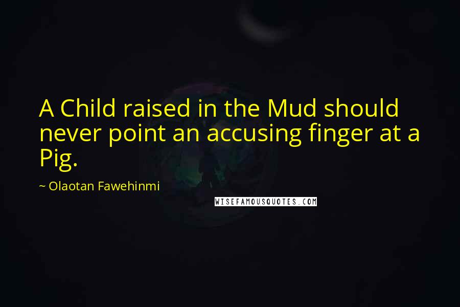 Olaotan Fawehinmi Quotes: A Child raised in the Mud should never point an accusing finger at a Pig.