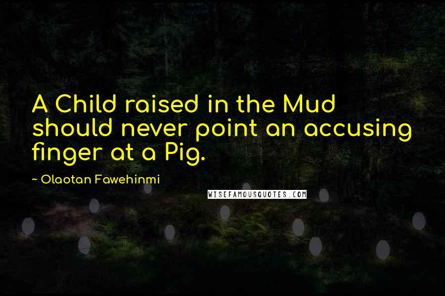 Olaotan Fawehinmi Quotes: A Child raised in the Mud should never point an accusing finger at a Pig.