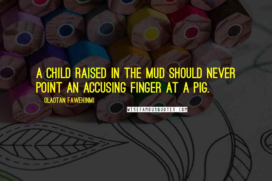 Olaotan Fawehinmi Quotes: A Child raised in the Mud should never point an accusing finger at a Pig.