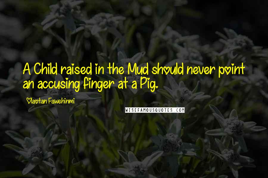 Olaotan Fawehinmi Quotes: A Child raised in the Mud should never point an accusing finger at a Pig.