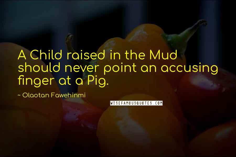 Olaotan Fawehinmi Quotes: A Child raised in the Mud should never point an accusing finger at a Pig.