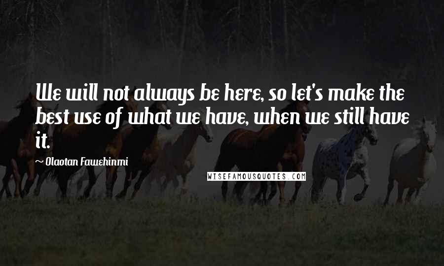 Olaotan Fawehinmi Quotes: We will not always be here, so let's make the best use of what we have, when we still have it.