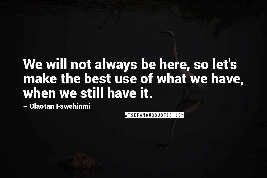 Olaotan Fawehinmi Quotes: We will not always be here, so let's make the best use of what we have, when we still have it.