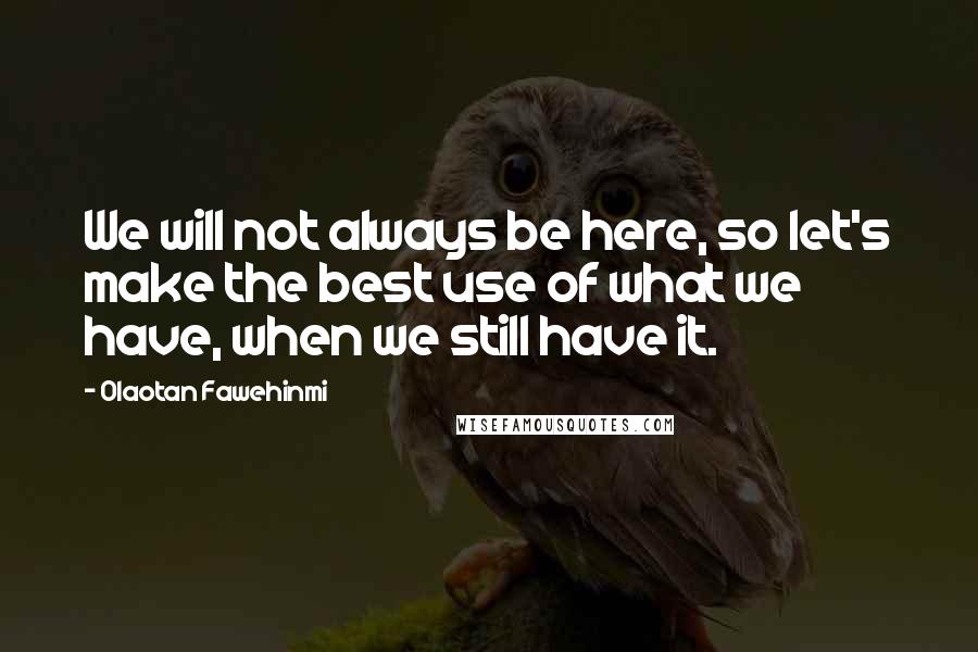 Olaotan Fawehinmi Quotes: We will not always be here, so let's make the best use of what we have, when we still have it.