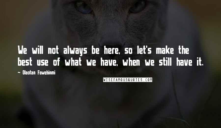 Olaotan Fawehinmi Quotes: We will not always be here, so let's make the best use of what we have, when we still have it.