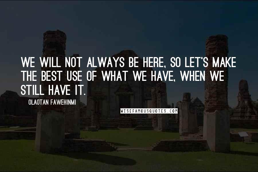 Olaotan Fawehinmi Quotes: We will not always be here, so let's make the best use of what we have, when we still have it.