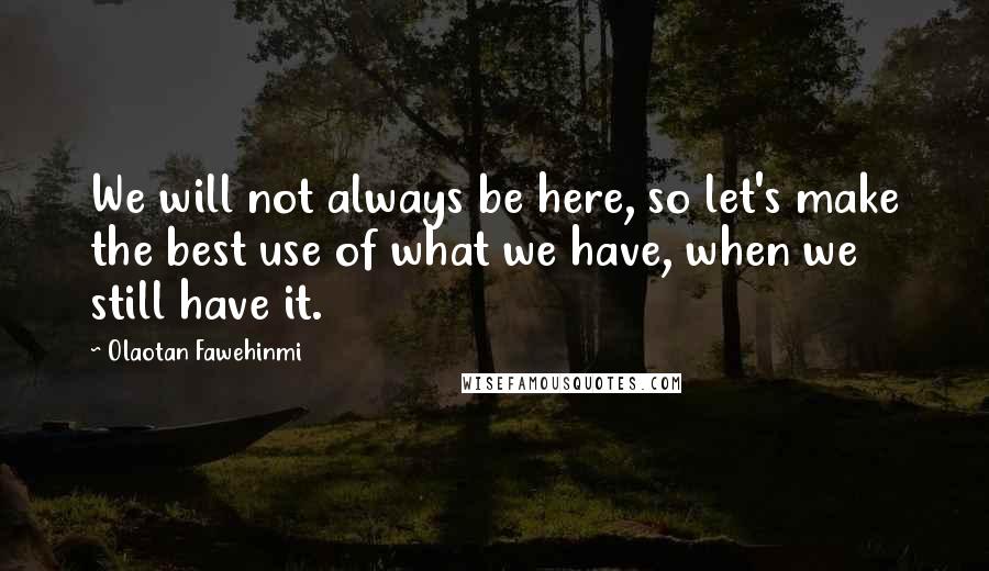 Olaotan Fawehinmi Quotes: We will not always be here, so let's make the best use of what we have, when we still have it.