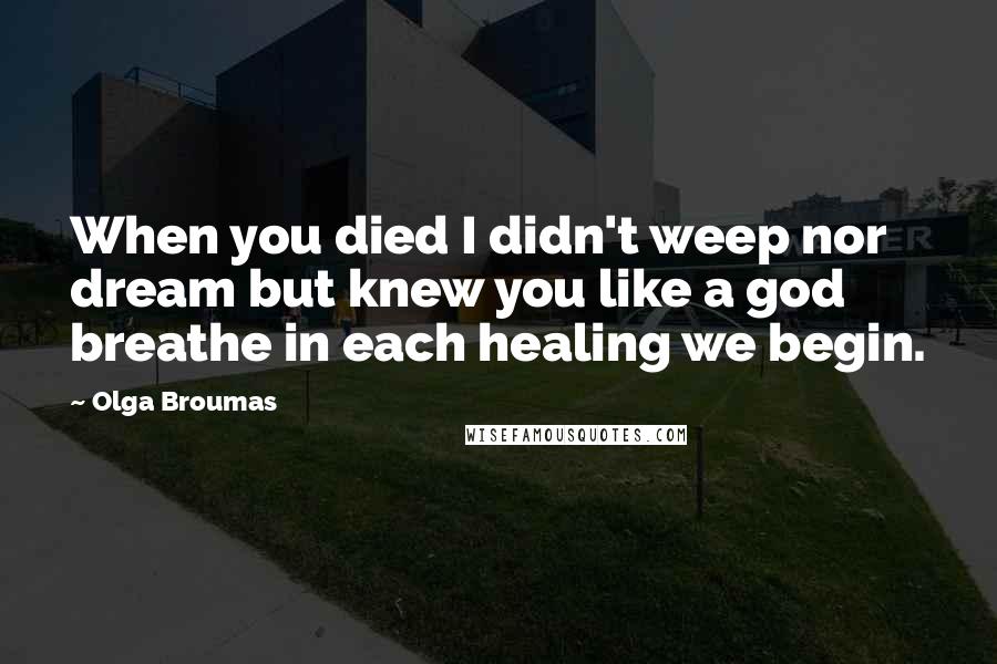 Olga Broumas Quotes: When you died I didn't weep nor dream but knew you like a god breathe in each healing we begin.