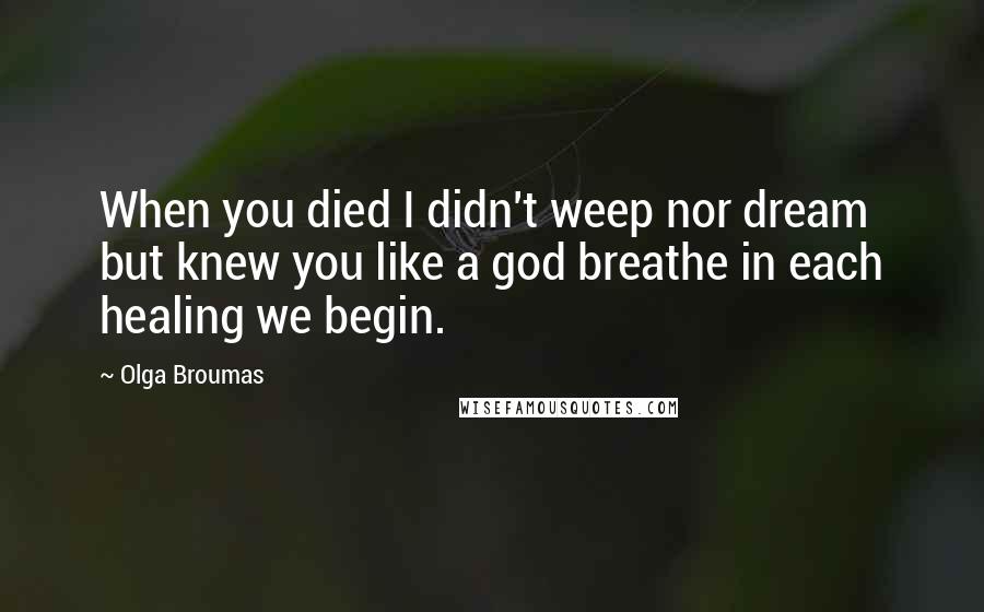 Olga Broumas Quotes: When you died I didn't weep nor dream but knew you like a god breathe in each healing we begin.