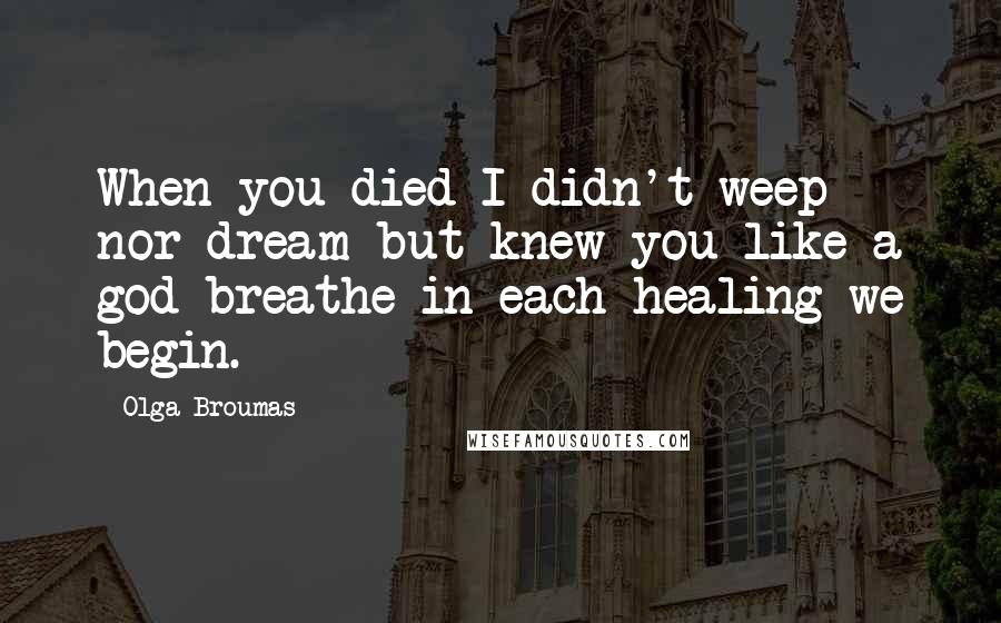 Olga Broumas Quotes: When you died I didn't weep nor dream but knew you like a god breathe in each healing we begin.
