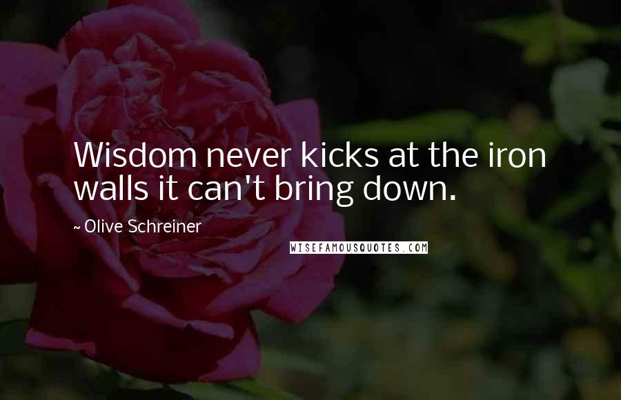 Olive Schreiner Quotes: Wisdom never kicks at the iron walls it can't bring down.