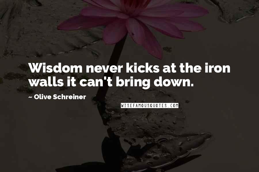 Olive Schreiner Quotes: Wisdom never kicks at the iron walls it can't bring down.