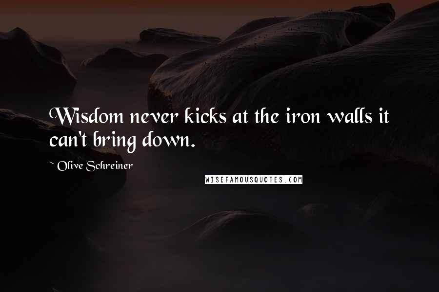 Olive Schreiner Quotes: Wisdom never kicks at the iron walls it can't bring down.